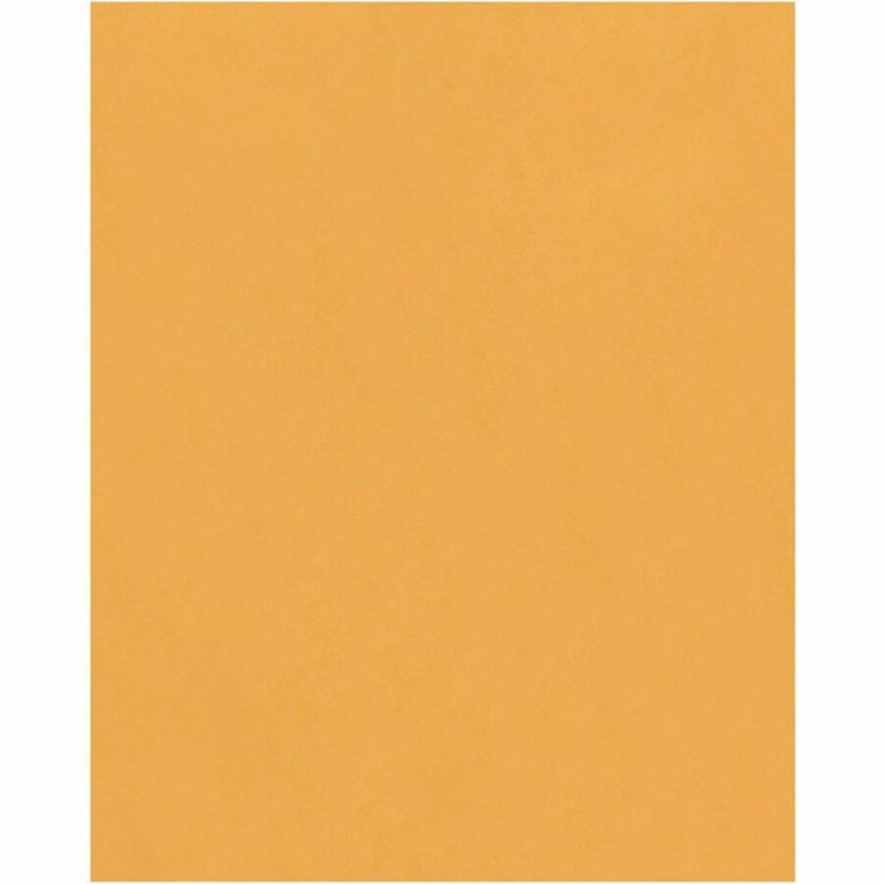 Quality Park 11-1/2 x 14-1/2 Clasp Envelopes, Clasp and Gummed Closures for Storing or Mailing Large Documents, 28 lb Kraft Paper, 100 per Box (QUA37905) - Image 2