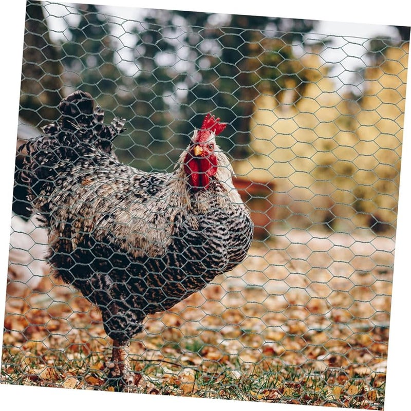 شبكة سلك الدجاج 1 بوصة شبكة سداسية 50 قدمًا في 36 بوصة سياج فولاذي مجلفن - Image 5