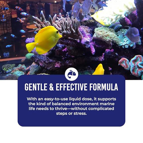 DrTim's Aquatics DrTim’s Aquatics One & Only for Saltwater Aquariums – 4 oz – Live Nitrifying Formulan – Supports Biological Balance, Clean Water & Stability in Fish Tanks - Image 4