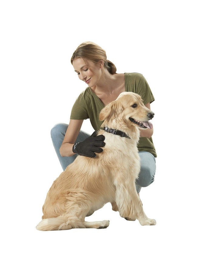 Franklin Sports Franklin Pet Supply Co. SHED-MASTER - Pet Grooming Gloves - Gentle De-shedding Dog + Cat Hair remover - Long + Short Hair Remover - Great For Floors + Furniture - Image 1