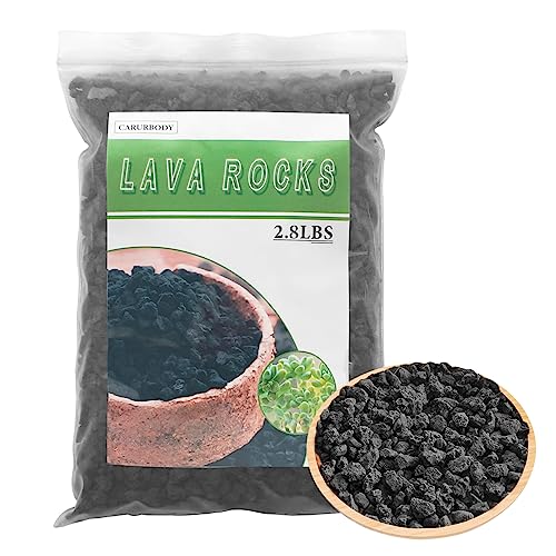 CARURBODY كاروربودي صخور اللافا السوداء للنباتات - 100% صخر بركاني نقي بدون أصباغ أو مواد كيميائية - أفضل حجارة لافا لتزيين الصبار والنباتات العصارية والبونساي - Image 1