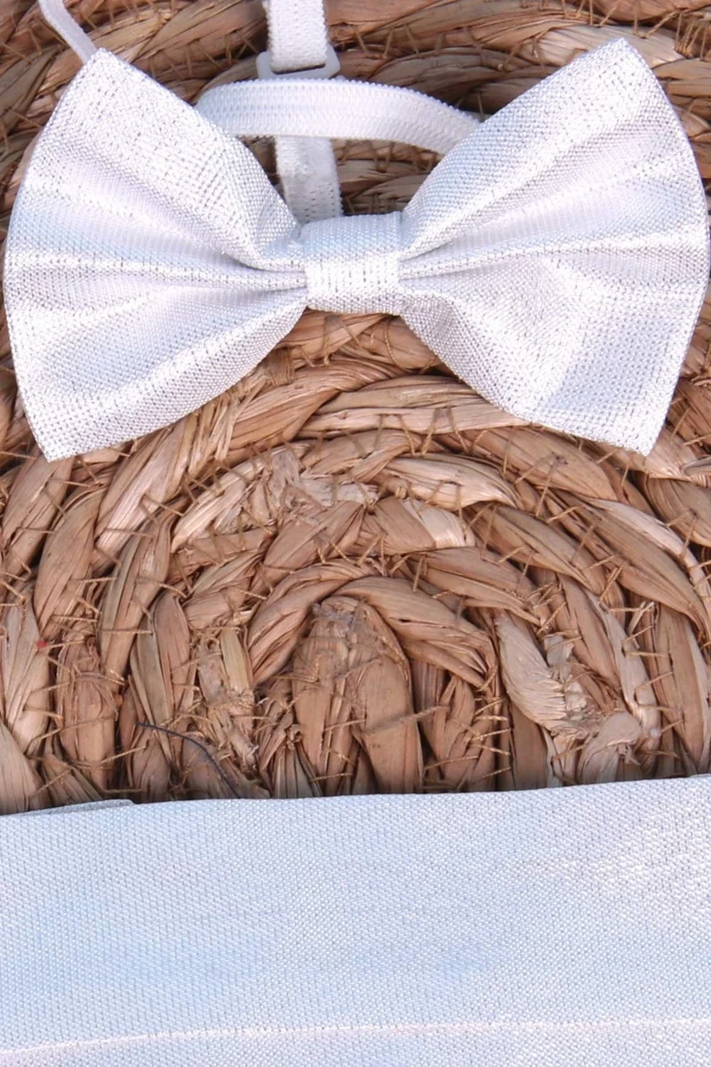 بريز Boys Sash Bowtie Silver