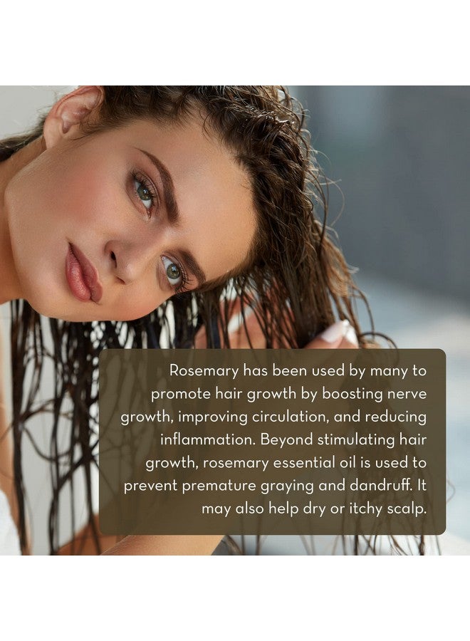 PURE BODY NATURALS 100% Pure Rosemary Essential Oil Rosemary Oil For Hair Growth And Aromatherapy Therapeutic Grade 1 Fl Oz By Pure Body Naturals - Image 3