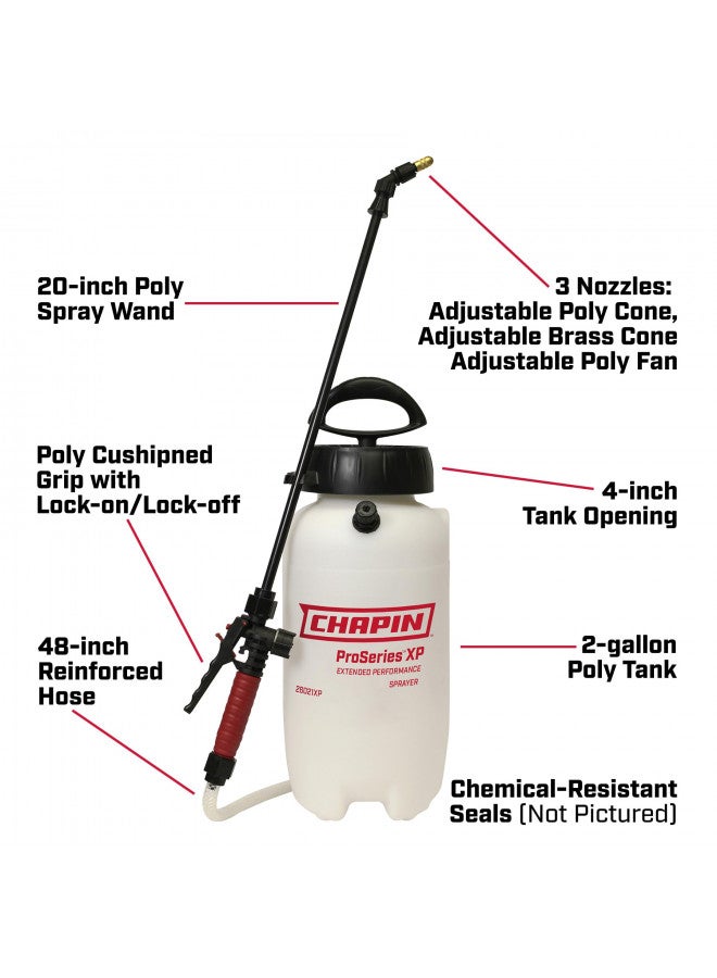 Chapin International Chapin 26021XP Compression Sprayer, 2-Gallon  - Image 2