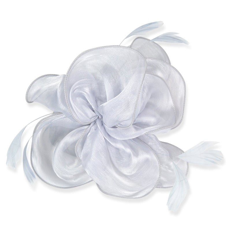 DRESHOW Fascinators Hat Tea Party Headwear Ribbons Feathers on a Headband and a Clip for Women - Image 2