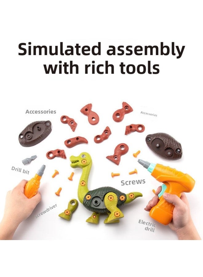 Chinese Building Blocks Disassembly Dinosaur Educational Children's Toys Splicing Class Four Dinosaur Disassembly Screw Assembly Wholesale-Specifications:Spinosaurus-manual Screwdriver Version - Image 5
