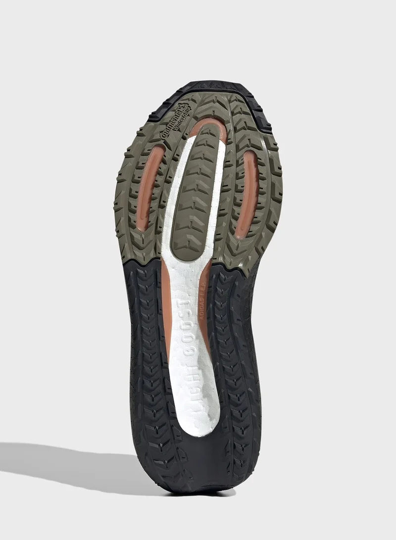 Adidas Ultra Boost Light Gt Shoes