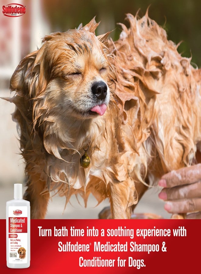 Sulfodene Medicated Shampoo & Conditioner for Dogs 12oz - Image 3