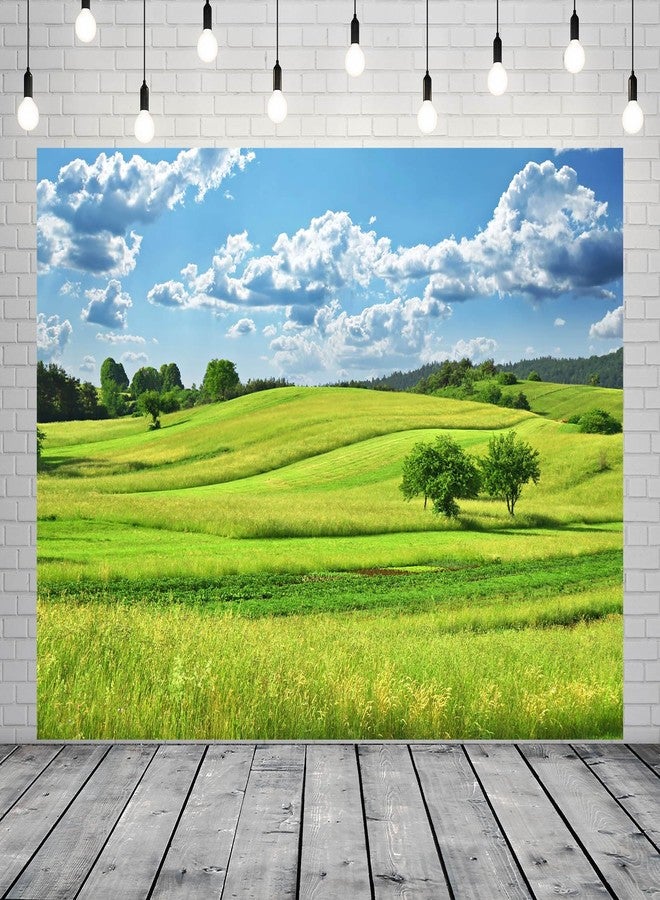 BELECO 7x5ft Fabric Spring Green Hills Meadow Backdrop Green Grass Lawn Trees Blue Sky White Clouds Photography Background Outdoor Nature Scenery Easter Decor Kid Baby Portrait Photo Studio Props - Image 2