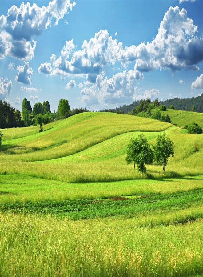 BELECO 7x5ft Fabric Spring Green Hills Meadow Backdrop Green Grass Lawn Trees Blue Sky White Clouds Photography Background Outdoor Nature Scenery Easter Decor Kid Baby Portrait Photo Studio Props - Image 5