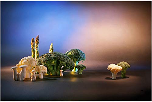 Meking 6pcs 16x20in Lighting Gels Filter with Wooden Clips for Gels, Transparent Color Correction Roll Film Plastic Sheet for Led Flash Strobe Light, 6 Colors - Image 2
