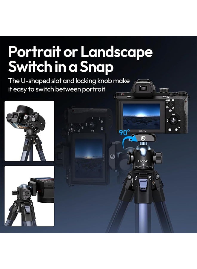 Ulanzi T100 Ball Head, Tripod Ball Head Mount 1/4 & 3/8 inch with Uka Quick Release Plate & Cold Shoe, 360° Rotating Panoramic Ball Head for DSLR Camera,Tripod,Monopod,Slider,Camcorder, 13lbs/6kg Load - Image 2