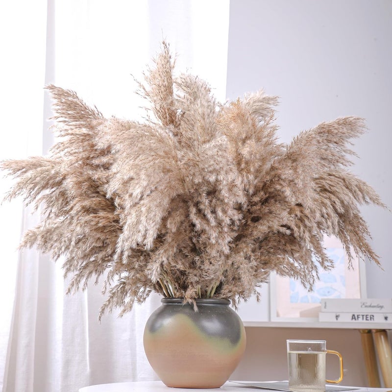 ROOLLYA 20 Stems 28" inch Large Brown Pampas Grass Decor Tall - Natural Fluffy Pompas Grass Bulk Tall Pampas Grass for Floor Vase - Boho Decor Home Decor Wedding Decor Event Decor，Gift - Image 1
