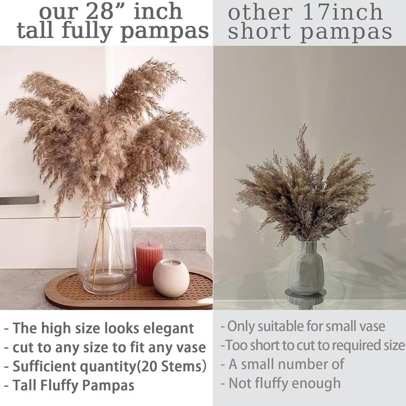 ROOLLYA 20 Stems 28" inch Large Brown Pampas Grass Decor Tall - Natural Fluffy Pompas Grass Bulk Tall Pampas Grass for Floor Vase - Boho Decor Home Decor Wedding Decor Event Decor，Gift - Image 2