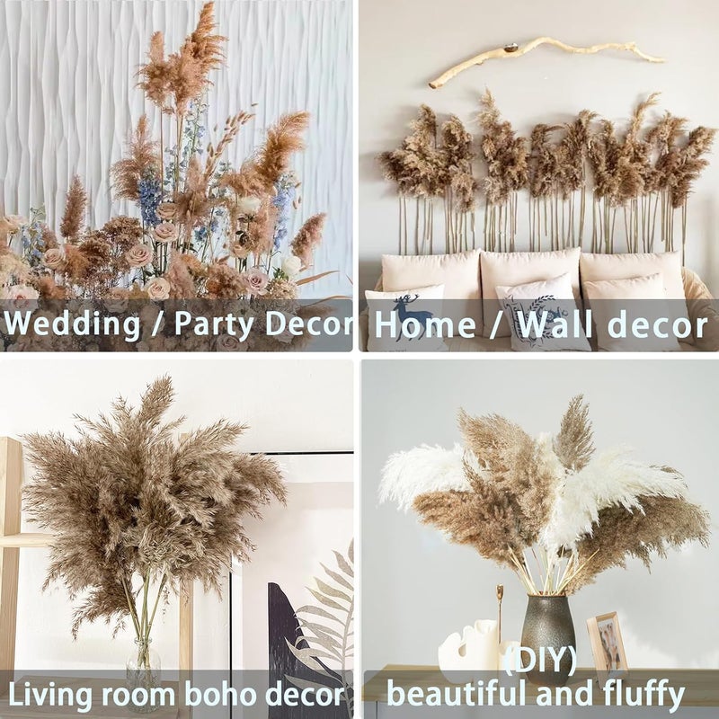 ROOLLYA 20 Stems 28" inch Large Brown Pampas Grass Decor Tall - Natural Fluffy Pompas Grass Bulk Tall Pampas Grass for Floor Vase - Boho Decor Home Decor Wedding Decor Event Decor，Gift - Image 3