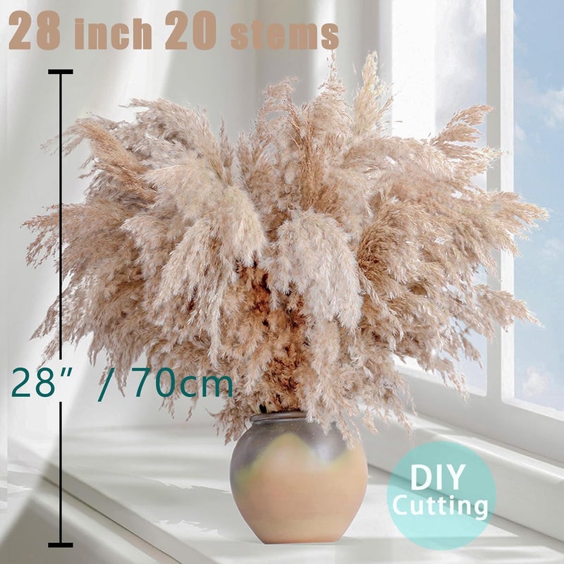 ROOLLYA 20 Stems 28" inch Large Brown Pampas Grass Decor Tall - Natural Fluffy Pompas Grass Bulk Tall Pampas Grass for Floor Vase - Boho Decor Home Decor Wedding Decor Event Decor，Gift - Image 4