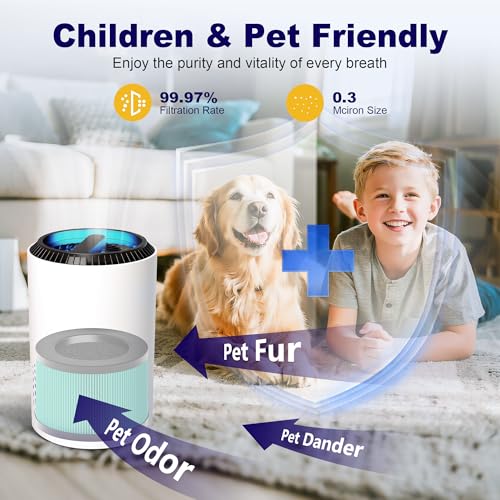 PETOX MK01 & MK06 True HEPA Filter Replacement Compatible with Aroeve MK01, MK06, ToLife TZ-K1 and Kloudi DH-JH01 Air Purifier, Pet Dander Version, Green, 2 Pack - Image 5