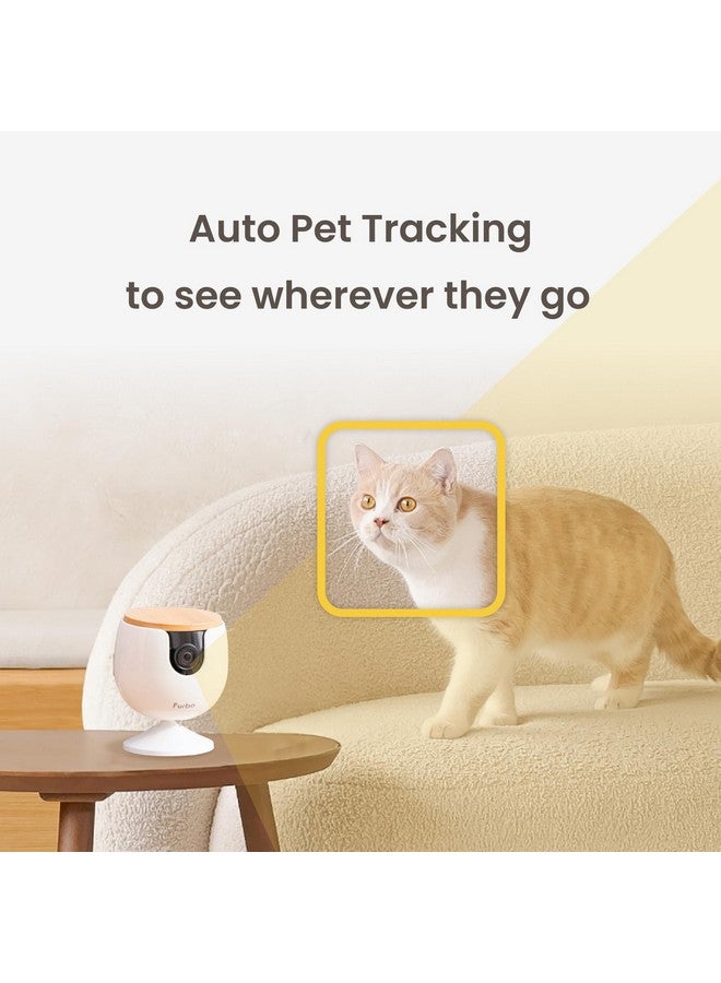 فيربو كاميرا Furbo Mini الجديدة للحيوانات الأليفة: كاميرا أمان منزلية مع تنبيهات النباح أو المواء، وكاميرا للقطط أو الكلاب مع تطبيق هاتف، وكاميرا منزلية داخلية ذكية مع مكبر صوت ثنائي الاتجاه ورؤية ليلية (لا يلزم الاشتراك) - Image 5