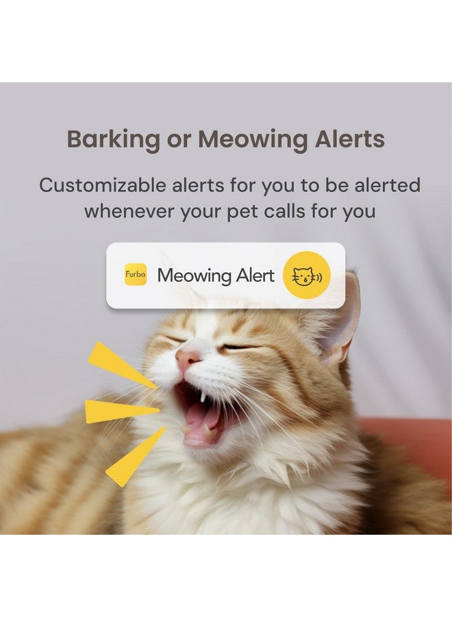 فيربو كاميرا Furbo Mini الجديدة للحيوانات الأليفة: كاميرا أمان منزلية مع تنبيهات النباح أو المواء، وكاميرا للقطط أو الكلاب مع تطبيق هاتف، وكاميرا منزلية داخلية ذكية مع مكبر صوت ثنائي الاتجاه ورؤية ليلية (لا يلزم الاشتراك) - Image 4