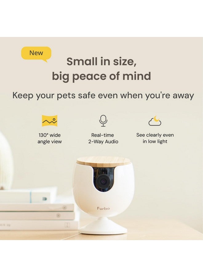 فيربو كاميرا Furbo Mini الجديدة للحيوانات الأليفة: كاميرا أمان منزلية مع تنبيهات النباح أو المواء، وكاميرا للقطط أو الكلاب مع تطبيق هاتف، وكاميرا منزلية داخلية ذكية مع مكبر صوت ثنائي الاتجاه ورؤية ليلية (لا يلزم الاشتراك) - Image 2