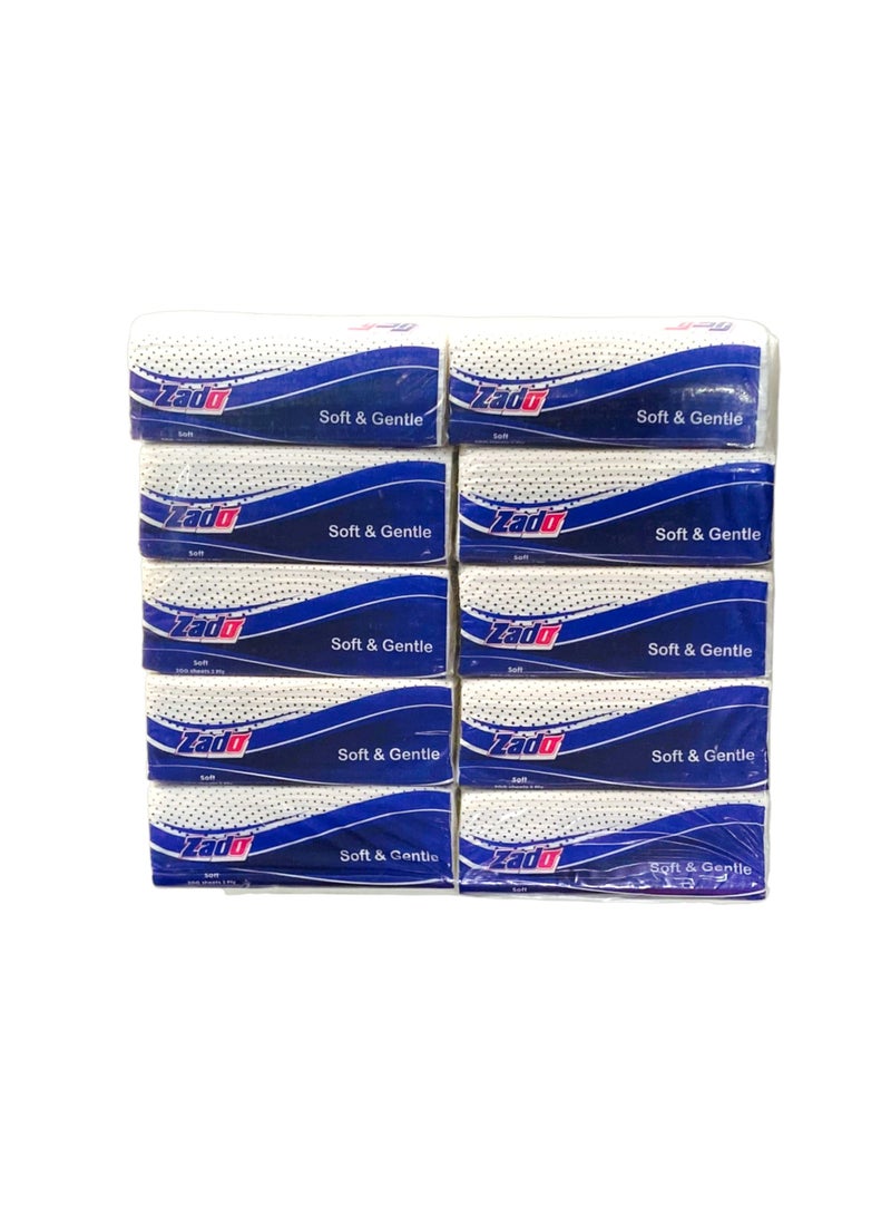 ريزا هايجين مناديل وجه ناعمة طبقتين 200 شيت * 10ربطة