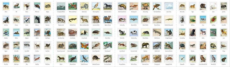 Outdoor School: Spot & Sticker Animals - Image 2