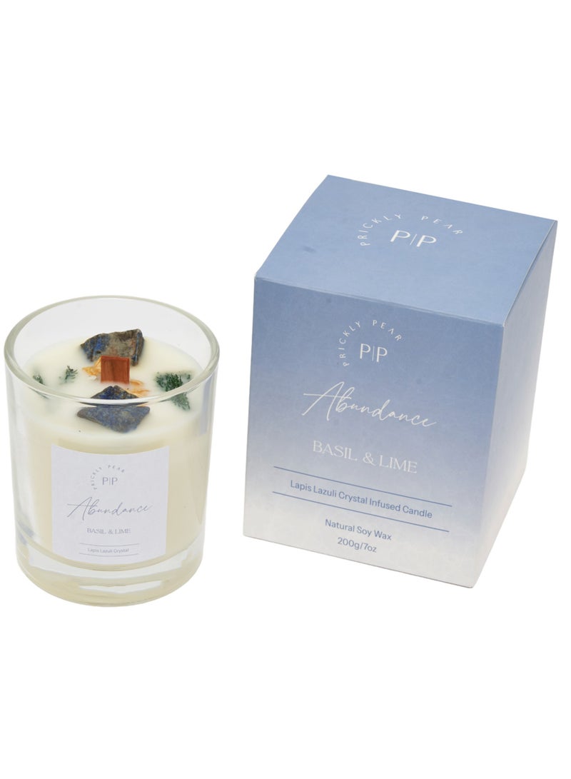 Prickly Pear Lapis Lazuli Crystal 'Abundance' Candle, 200g  - Image 1