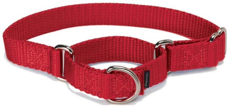 PetSafe Adjustable Martingale Collar - Only Tightens When Dogs Pull, Prevents Slipping Out - Helps with Strong Pullers, Increased Control - Alternative to Choke Collar - 1", Large, Red - Image 1