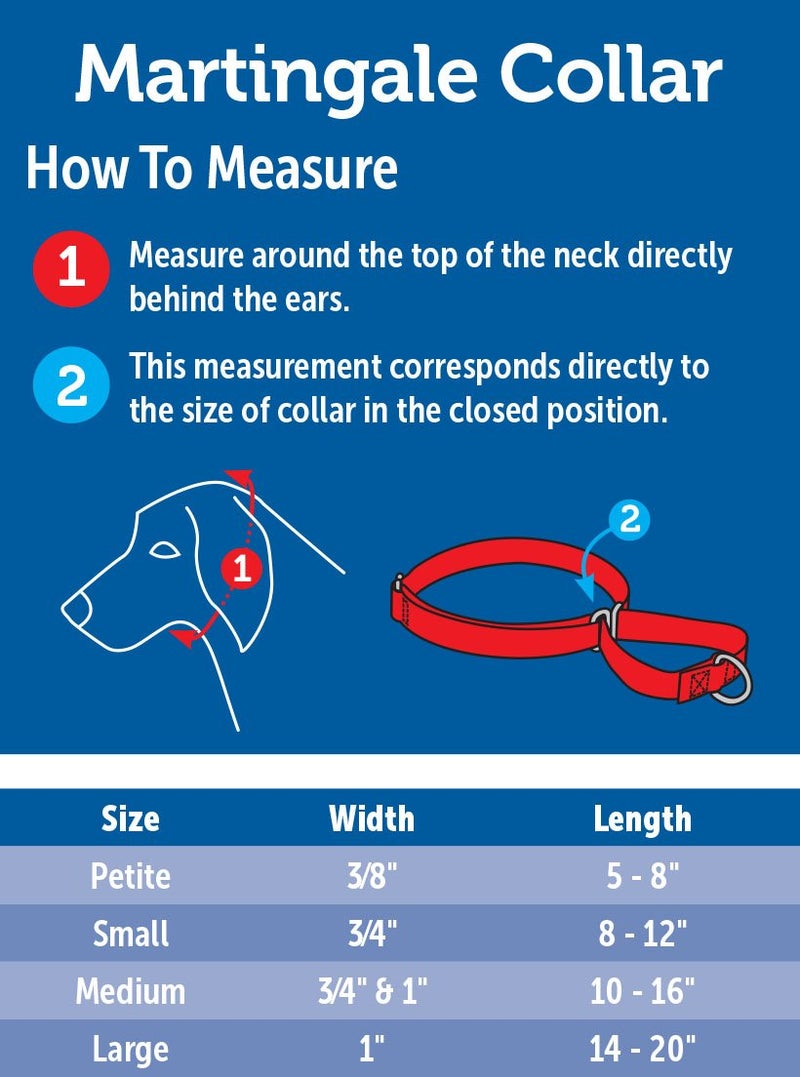 PetSafe Adjustable Martingale Collar - Only Tightens When Dogs Pull, Prevents Slipping Out - Helps with Strong Pullers, Increased Control - Alternative to Choke Collar - 1", Large, Red - Image 3