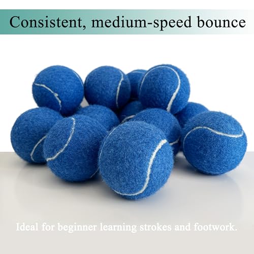 HPWFHPLF Tennis Balls, 12 Pack Advanced Training & Practice Tennis Balls for Beginners, Pet Dogs Playing Balls, Includes Mesh Carry Bag (Navy) - Image 4