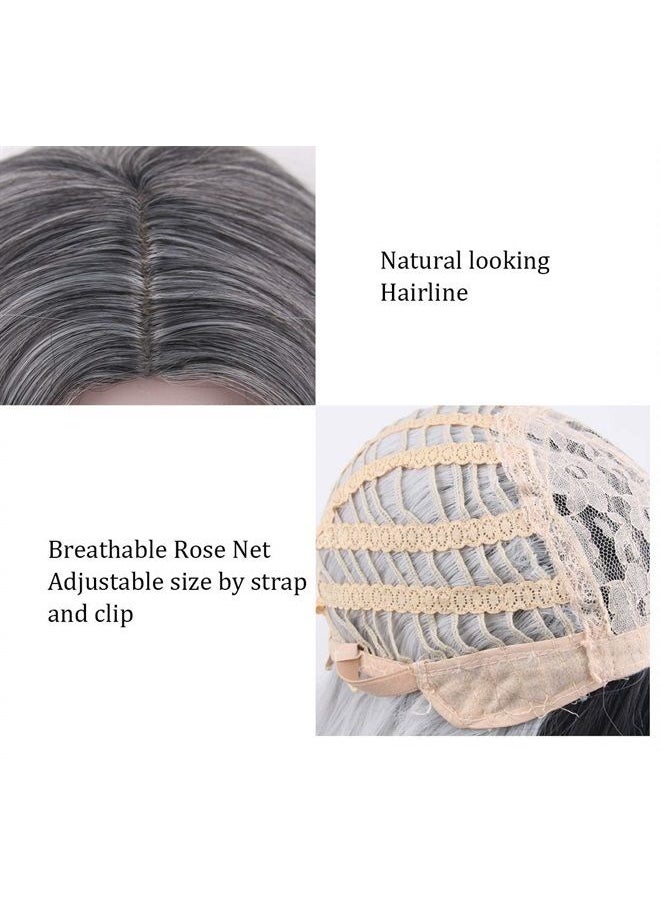 Besuante - Beautyself Silver Grey Costume Wigs for Women Halloween Curly Long Wavy Fashion Cosplay Ombre Black Mix Gray Hair Wigs with Wig Cap - Image 1