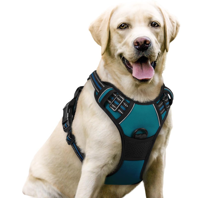 rabbitgoo Dog Harness No Pull with 2 Leash Clips, Adjustable Soft Padded, Reflective Oxford No Choke Pet Vest with Easy Control Handle for Large Dogs, Blue Coral, L - Image 1