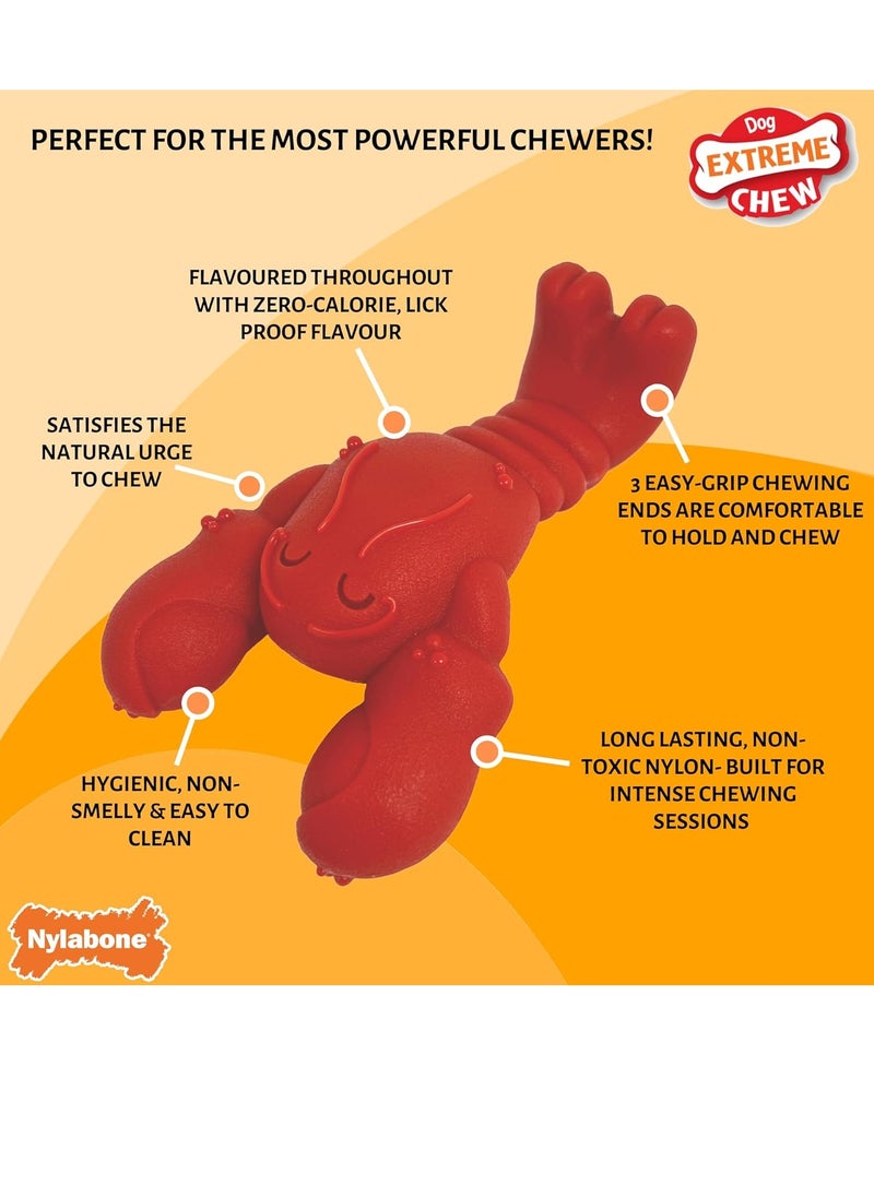 Nylabone Extreme Chewers Tough Nylon Dog Novelty Lobster Chew Toy Durable Boredom Breaker Cleans Teeth Filet Mignon Flavour Extra Large For Dogs 0 23 plus kg  - Image 3
