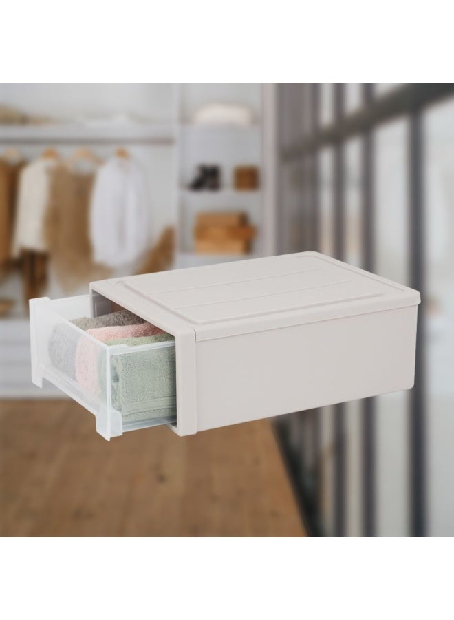 DANUBE HOME صندوق تخزين أدراج ماجنوس 13 لترًا، بيج 36.5X26X14 سم - Image 3