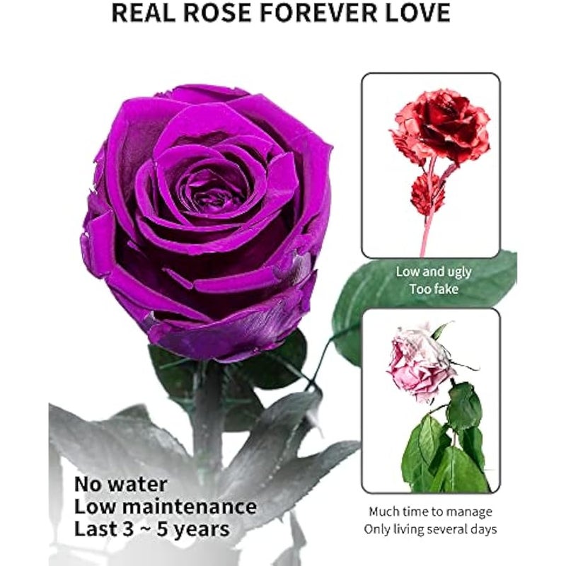 for Women - Preserved Rose Real Rose Gifts for Her Gifts for Women, Single Rose with Long Stem, Anniversary Birthday Valentines Gifts Flowers, Girlfriend Gifts for her (Purple) - Image 3