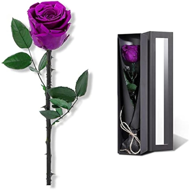 for Women - Preserved Rose Real Rose Gifts for Her Gifts for Women, Single Rose with Long Stem, Anniversary Birthday Valentines Gifts Flowers, Girlfriend Gifts for her (Purple) - Image 1