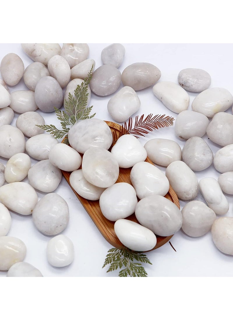 2.2lb (1 KG) White Pebbles Natural Decorative Stone Polished Gravel River Rocks for Plants Home DIY Decor Aquarium Gravel Vase Fillers Fairy Garden Landscaping Outdoor Stones