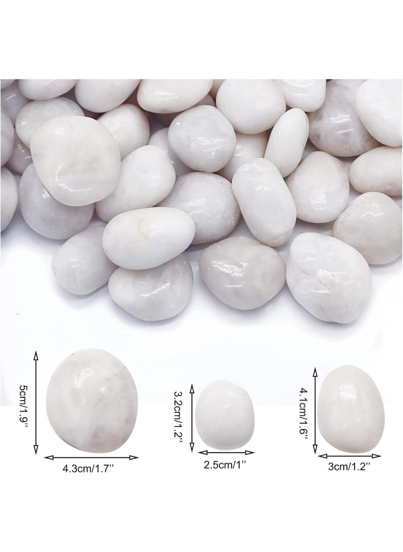 2.2lb (1 KG) White Pebbles Natural Decorative Stone Polished Gravel River Rocks for Plants Home DIY Decor Aquarium Gravel Vase Fillers Fairy Garden Landscaping Outdoor Stones