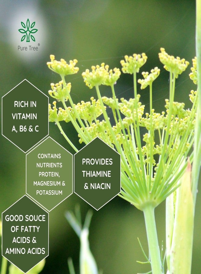 Pure Tree Certified Organic Saunf Powder | 350 g | Fennel Seed Powder | Variyali, Sompu Powder | Gluten Free & Flavourful - Image 5