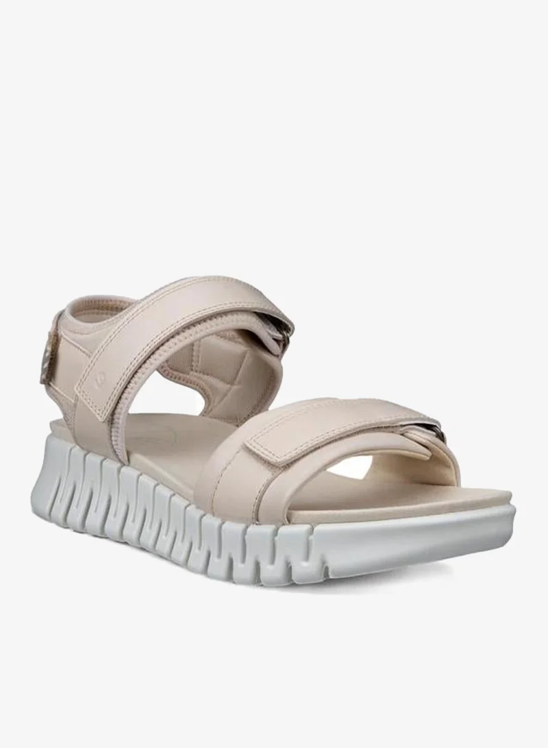 إيكو إيكو جروف سول دبليو لايمستون