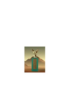 Emir CELESTIAL EMIR EDP-100ml  - Image 3