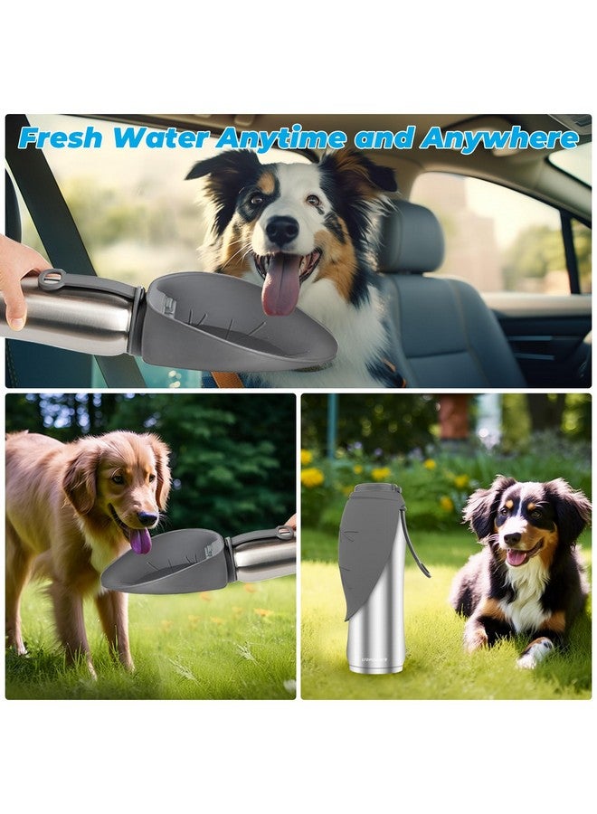 UR باور زجاجة مياه كبيرة للكلاب بسعة 27 أونصة، زجاجة مياه للسفر معزولة بجدار مزدوج من الفولاذ المقاوم للصدأ مضادة للتسرب وموزع مياه محمول للحيوانات الأليفة ووعاء شرب خالٍ من مادة BPA للكلاب أثناء المشي في الهواء الطلق والتنزه - Image 4