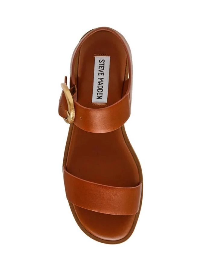 Steve Madden  Resorts Bronze Women's Flat-Casual Sandals for Women | Best Price UAE