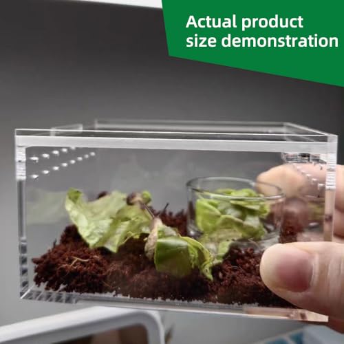 JOBEDE Small Acrylic Reptile Enclosure, No Assembly Small Reptile Breeding Box for Insect Tarantula Hermit Crab Jumping Spider (4x3.3X2.5 in) - Image 3