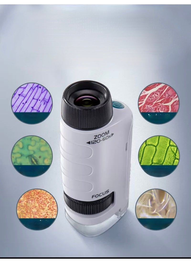 Peroks Mini Hand Microscope Without Stand 250 x  - Image 3