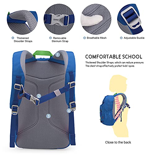 MOUNTAINTOP Kids Backpack for Boys Girls Elementary Kindergarten School Bag Lightweight Children Daypack - Image 3