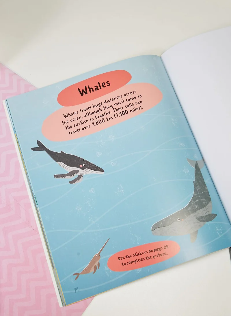 All Sorted Under The Sea Sticker Activity 5
