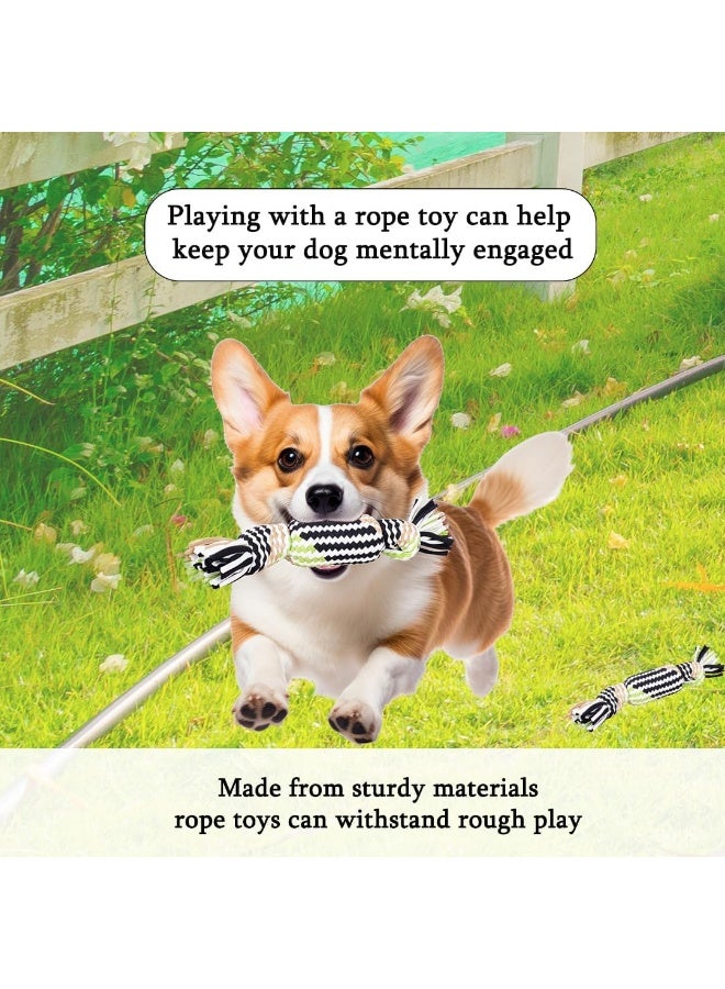 NNC PETS Pet toy set with Magic Unicorn, Tortoise, Black Bear and Rope Toy, Combo set with Safe and Non-Toxic Material, Interactive, Playing & Training, Washable, Durable and Puppy Toy set for All breeds, 4pcs - Image 5