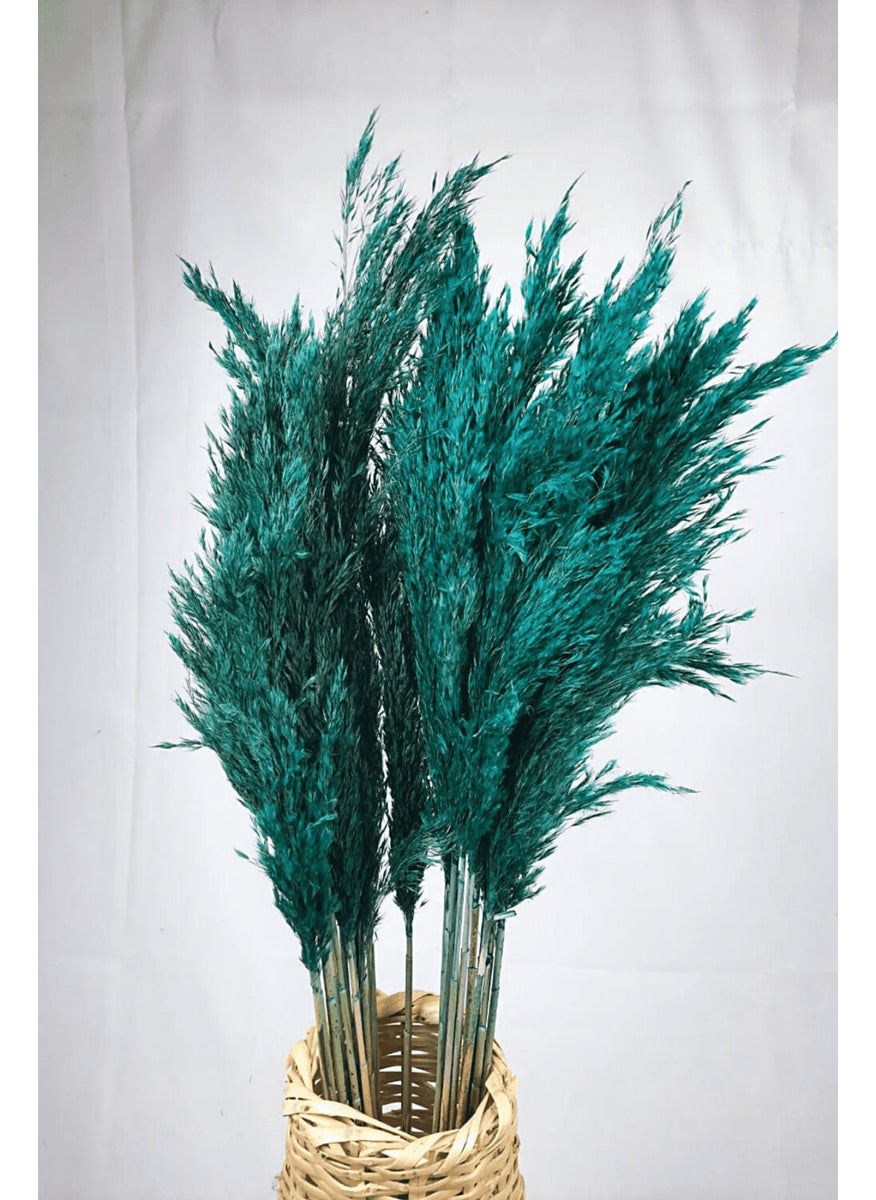 Alyones - Shocked Colored Pampas Bundle Set of 10 - Image 1