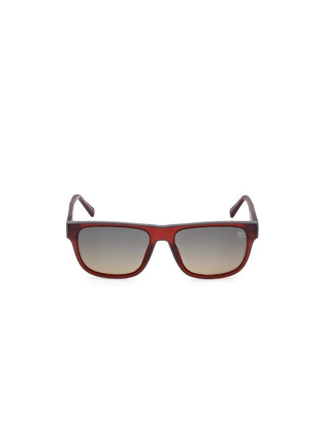 Wayfarers Sunglasses